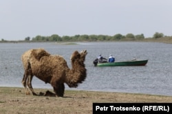 Река Кигач в селе Коптогай, Атырауской области. На противоположном берегу – Россия. 4 мая 2021 года